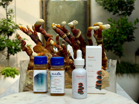 Reishi Mushrooms and the Brain: Unlocking the Neuroprotective Power of Ganoderma lucidum