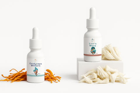 Energy + Focus - Interstellar Research