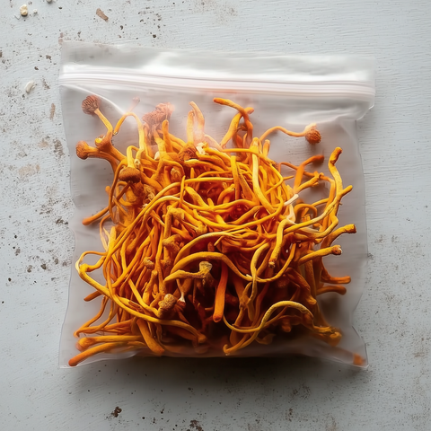 California-Grown Cordyceps Militaris Fruiting Body Mushrooms - Dried - Interstellar Research
