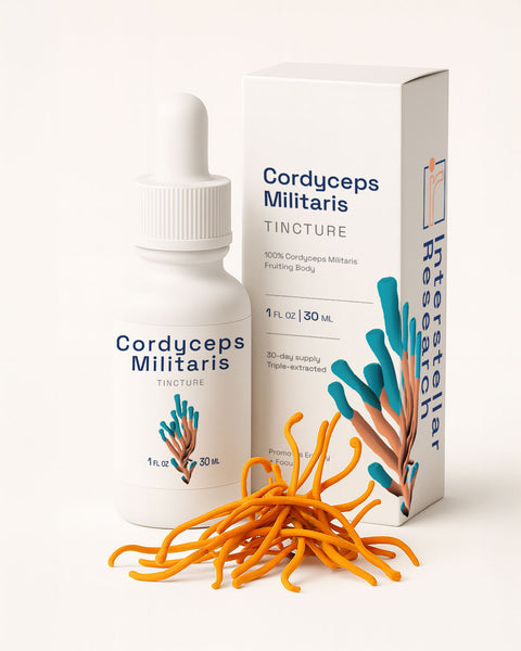 Cordyceps Militaris tincture bottle, dried cordyceps, and packaging on a white background