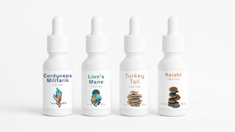 Interstellar Resarch